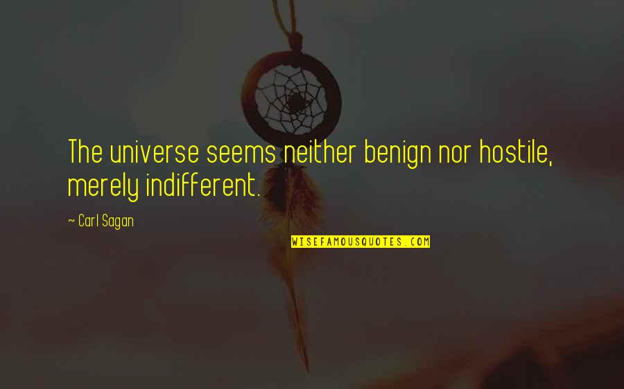 Indifferent Quotes By Carl Sagan: The universe seems neither benign nor hostile, merely