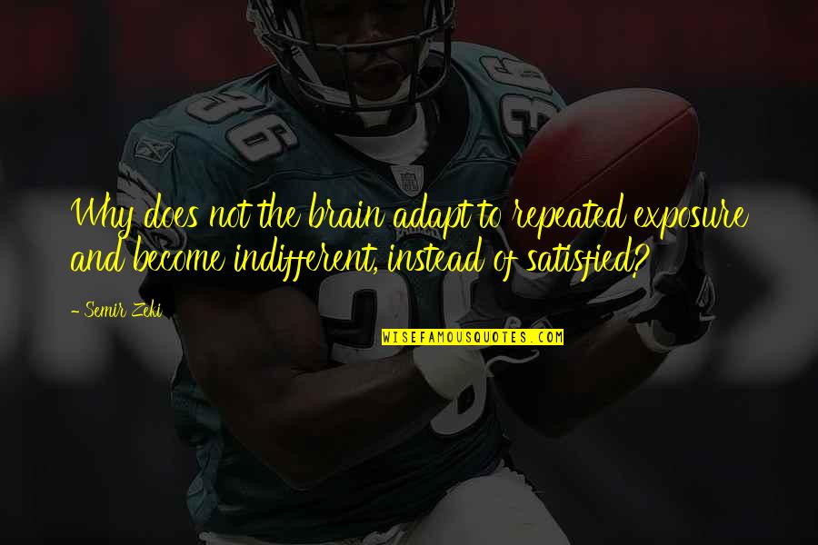 Indifferent Quotes By Semir Zeki: Why does not the brain adapt to repeated Indifferent Quotes By Semir Zeki: Why does not the brain adapt to repeated