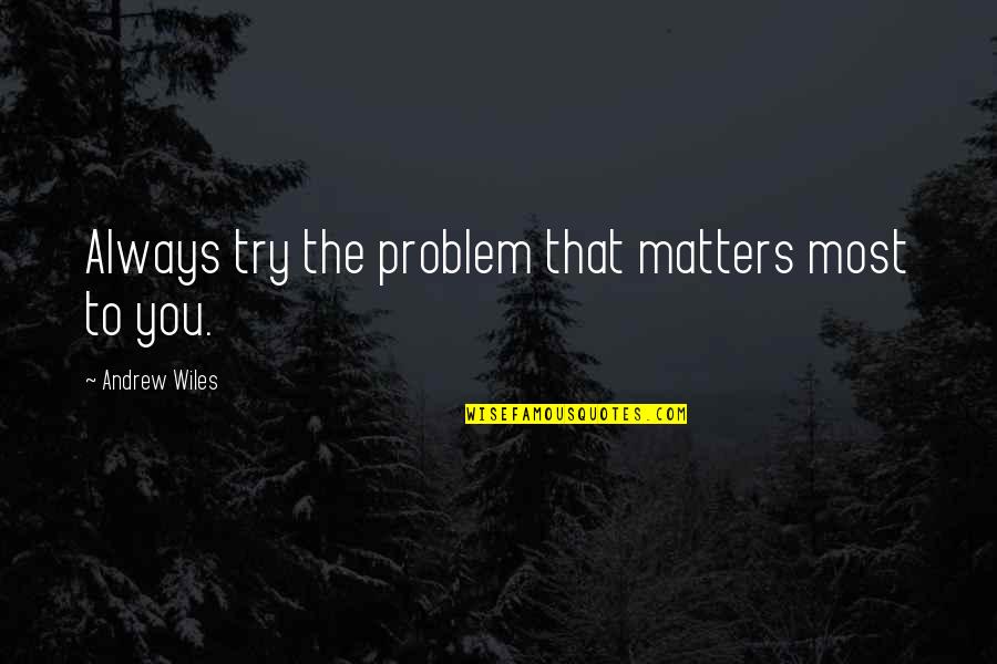 Indifferentism The Belief Quotes By Andrew Wiles: Always try the problem that matters most to