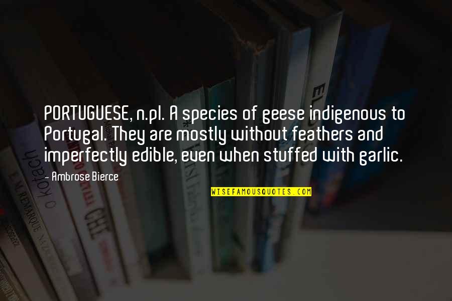 Indigenous Quotes By Ambrose Bierce: PORTUGUESE, n.pl. A species of geese indigenous to