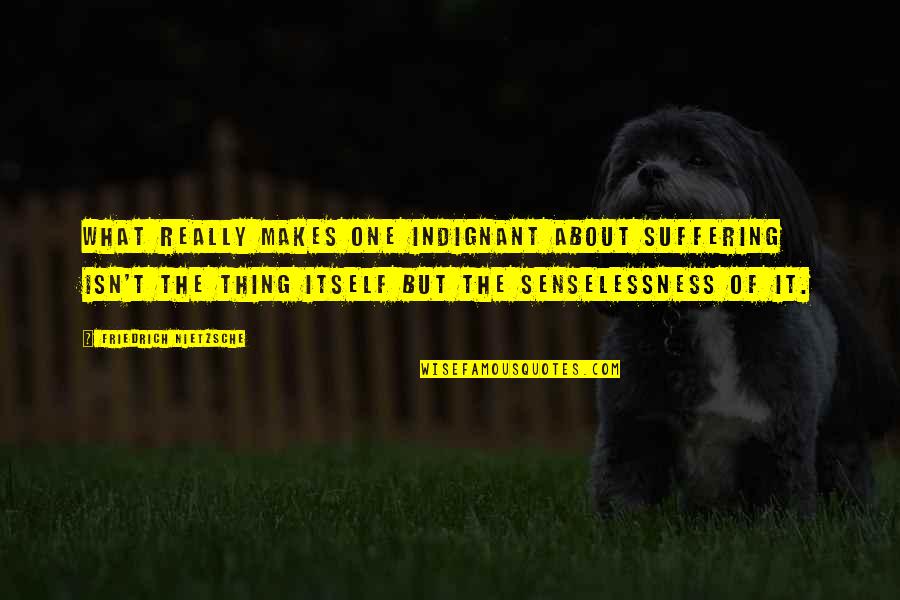 Indignant Quotes By Friedrich Nietzsche: What really makes one indignant about suffering isn't Indignant Quotes By Friedrich Nietzsche: What really makes one indignant about suffering isn't