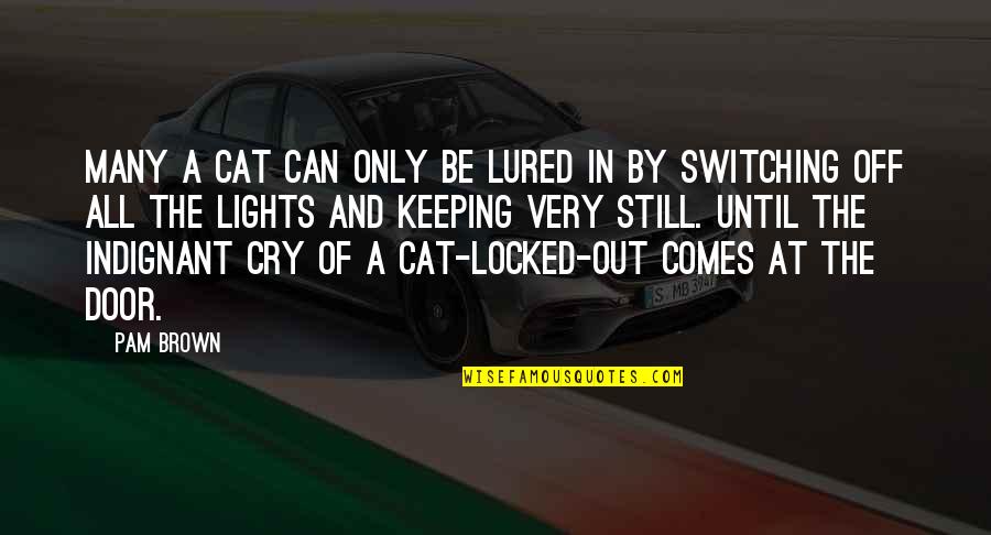 Indignant Quotes By Pam Brown: Many a cat can only be lured in Indignant Quotes By Pam Brown: Many a cat can only be lured in