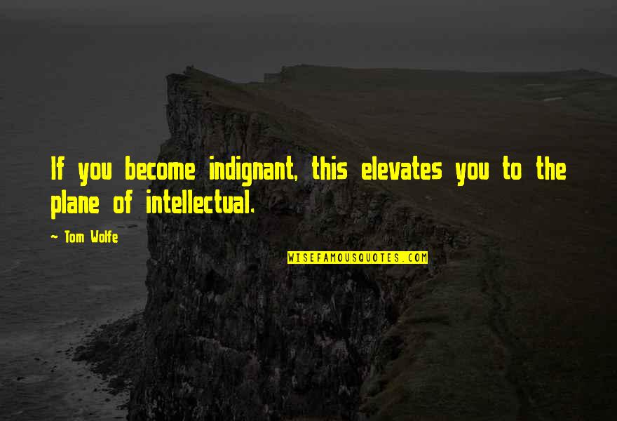 Indignant Quotes By Tom Wolfe: If you become indignant, this elevates you to