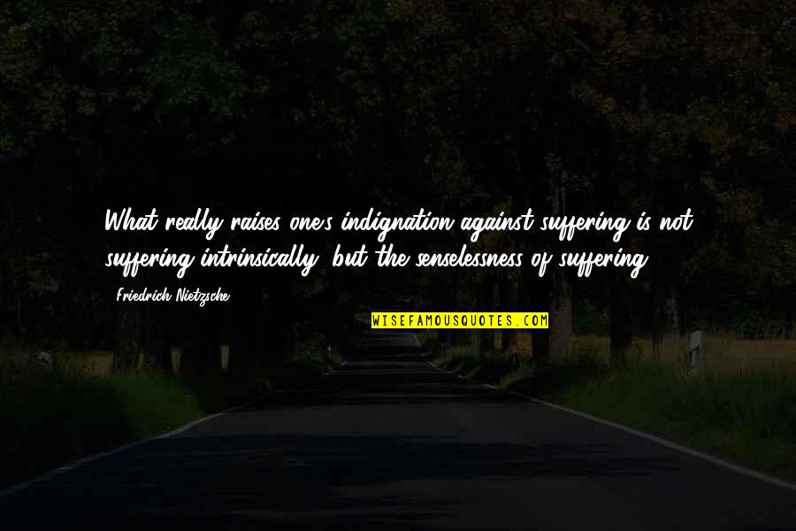 Indignation Quotes By Friedrich Nietzsche: What really raises one's indignation against suffering is