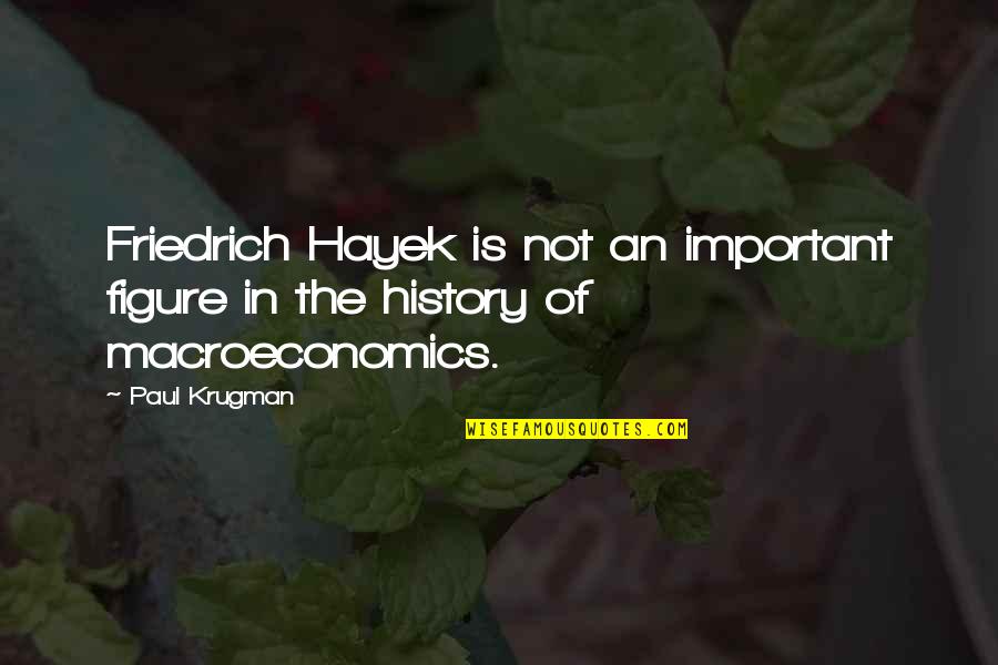 Indigo Love Quotes By Paul Krugman: Friedrich Hayek is not an important figure in