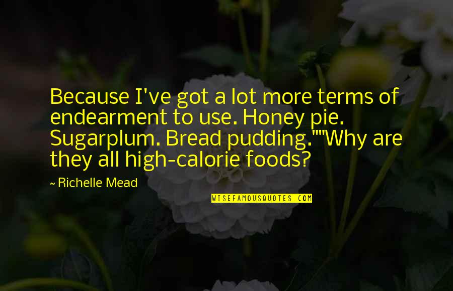 Indigo Love Quotes By Richelle Mead: Because I've got a lot more terms of Indigo Love Quotes By Richelle Mead: Because I've got a lot more terms of