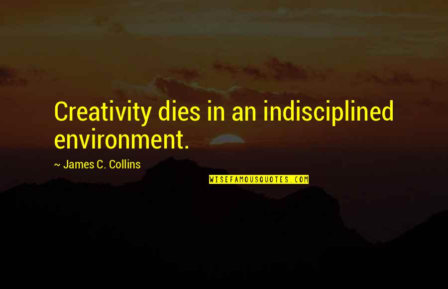 Indisciplined Quotes By James C. Collins: Creativity dies in an indisciplined environment.