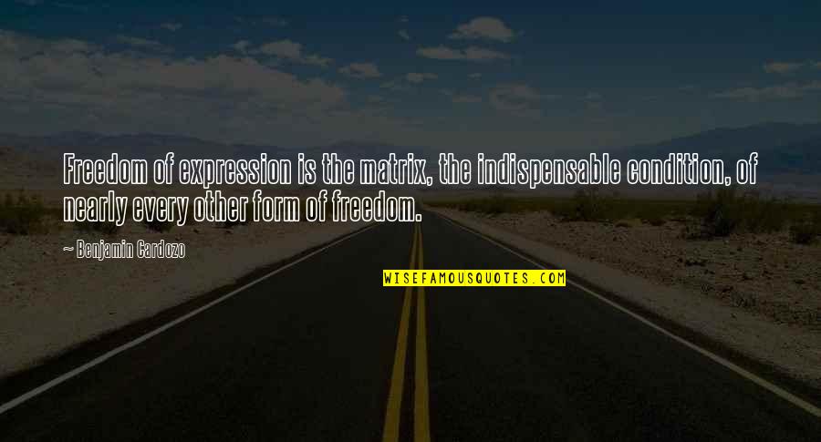 Indispensable Quotes By Benjamin Cardozo: Freedom of expression is the matrix, the indispensable