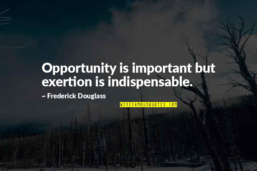 Indispensable Quotes By Frederick Douglass: Opportunity is important but exertion is indispensable.