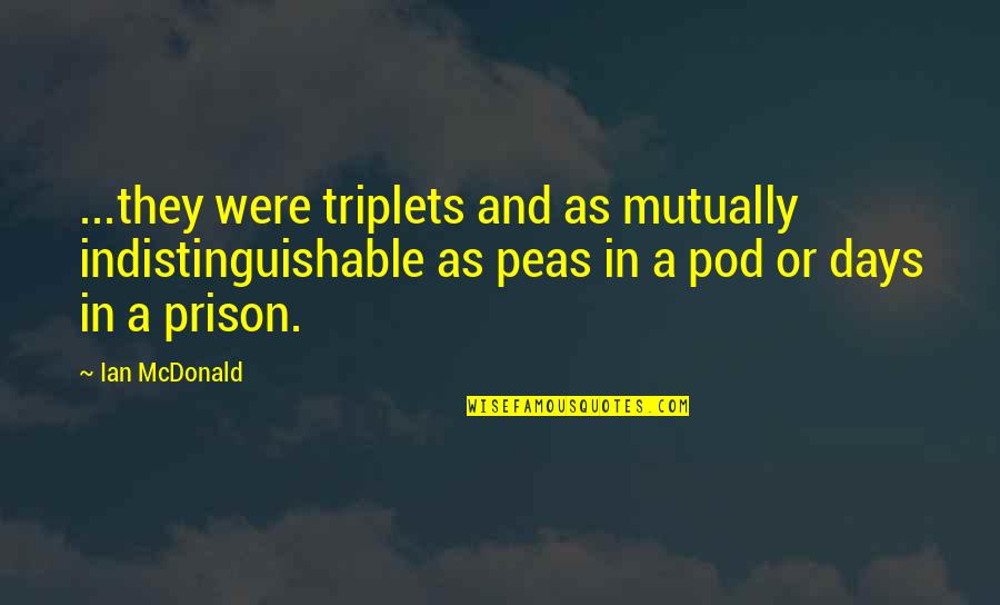 Indistinguishable Quotes By Ian McDonald: ...they were triplets and as mutually indistinguishable as