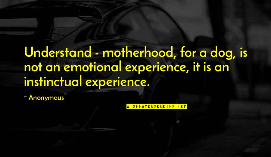 Individual Candy Bar Quotes By Anonymous: Understand - motherhood, for a dog, is not Individual Candy Bar Quotes By Anonymous: Understand - motherhood, for a dog, is not