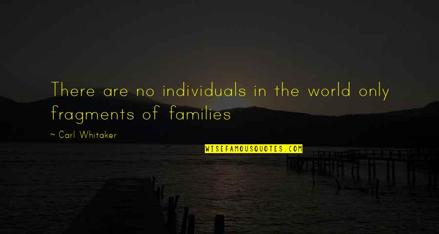 Individual Quotes By Carl Whitaker: There are no individuals in the world only