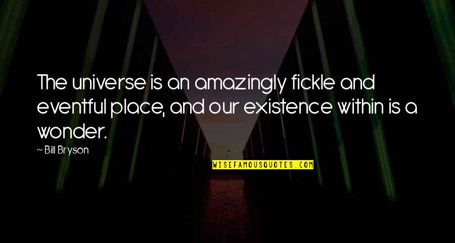 Individualism In 1984 Quotes By Bill Bryson: The universe is an amazingly fickle and eventful