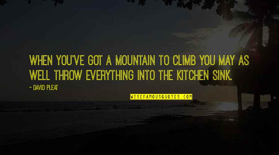 Individualisme Masyarakat Quotes By David Pleat: When you've got a mountain to climb you