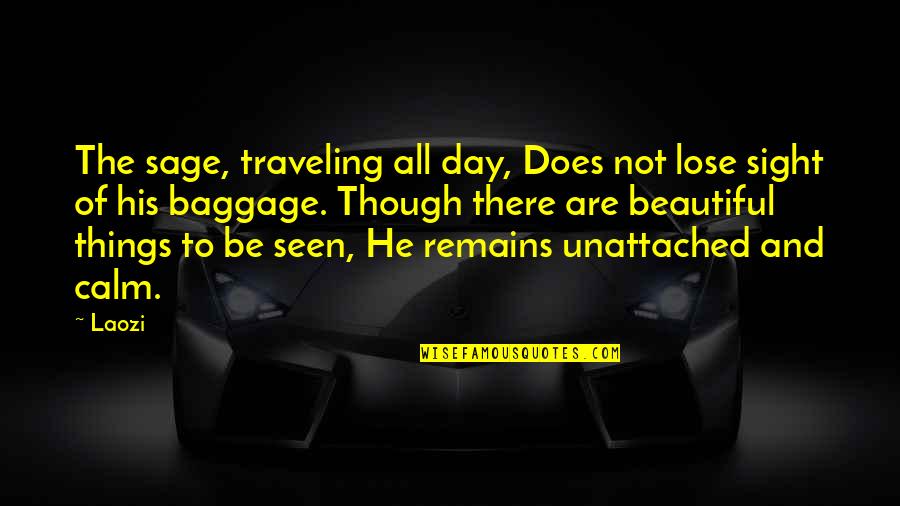 Individualized Learning Quotes By Laozi: The sage, traveling all day, Does not lose