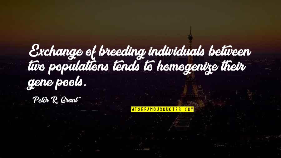 Individuals Quotes By Peter R. Grant: Exchange of breeding individuals between two populations tends Individuals Quotes By Peter R. Grant: Exchange of breeding individuals between two populations tends