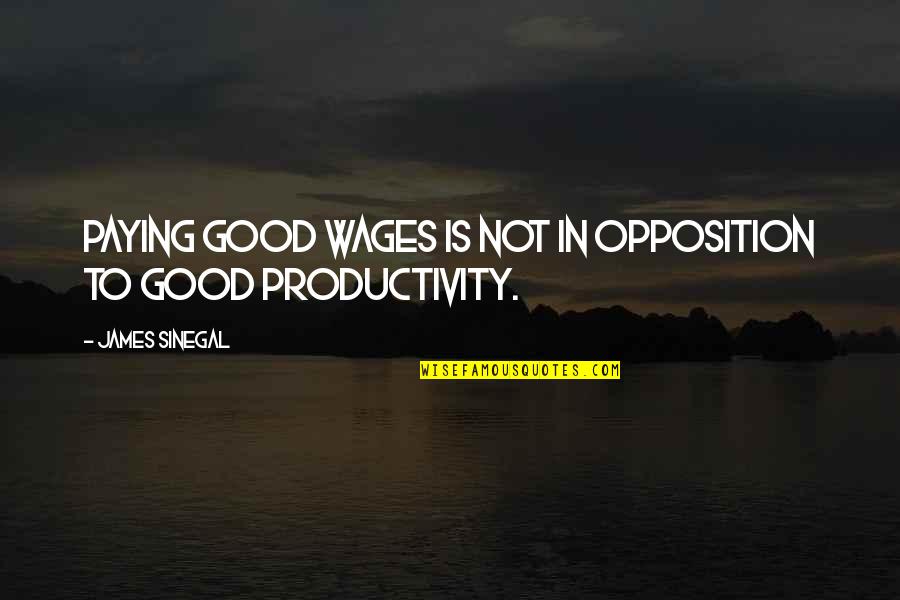 Individuate Synonyms Quotes By James Sinegal: Paying good wages is not in opposition to