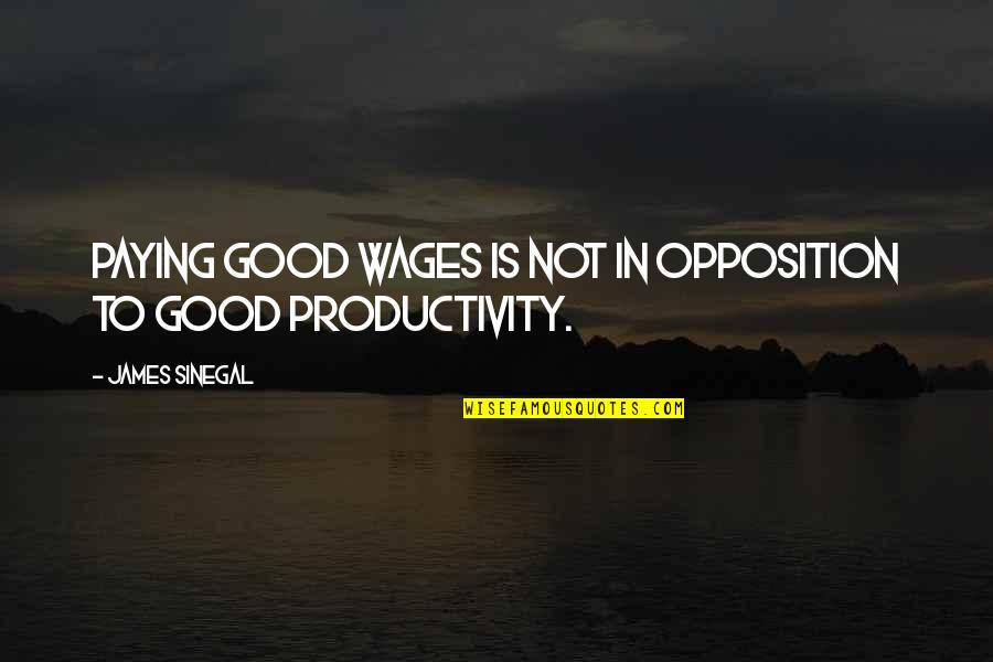 Individuate Synonyms Quotes By James Sinegal: Paying good wages is not in opposition to Individuate Synonyms Quotes By James Sinegal: Paying good wages is not in opposition to