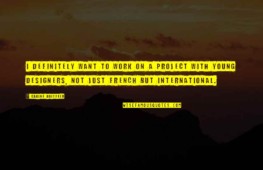 Indo Quotes By Carine Roitfeld: I definitely want to work on a project