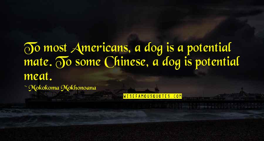 Indocrination Quotes By Mokokoma Mokhonoana: To most Americans, a dog is a potential