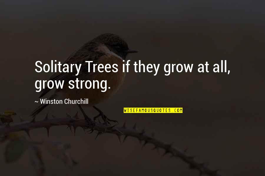 Indraneel Bhattacharya Quotes By Winston Churchill: Solitary Trees if they grow at all, grow