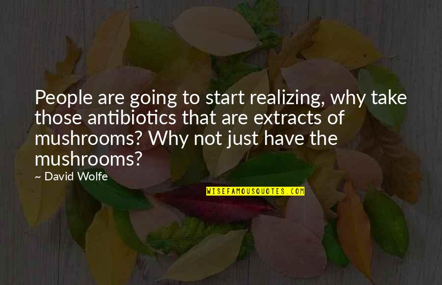 Indrek Sei Quotes By David Wolfe: People are going to start realizing, why take