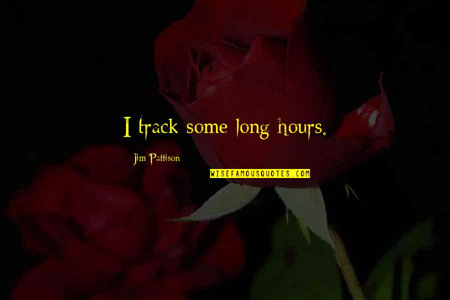 Indresh Hospital Quotes By Jim Pattison: I track some long hours.