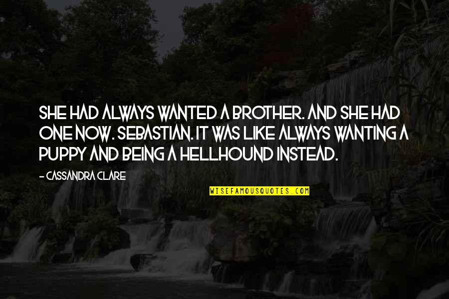 Induit Latin Quotes By Cassandra Clare: She had always wanted a brother. And she