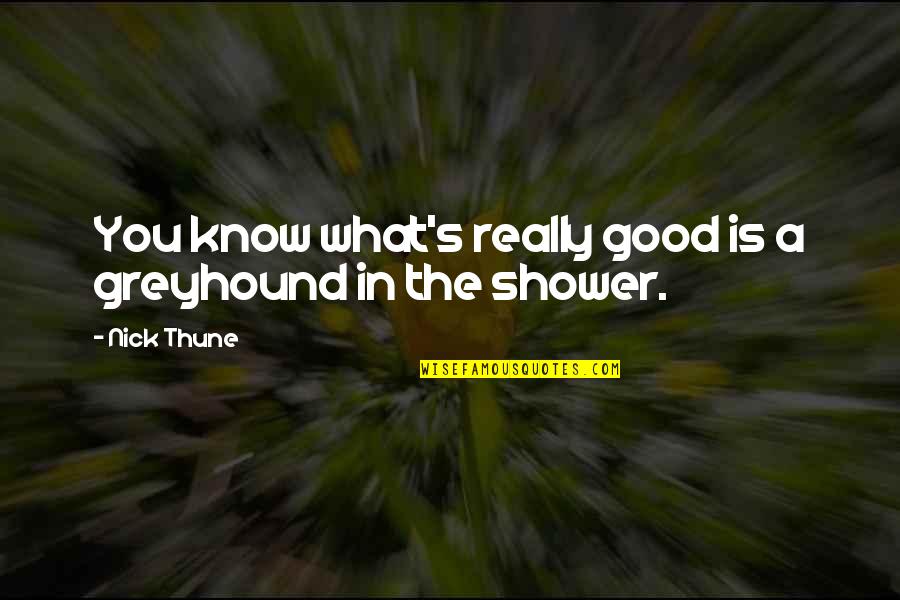 Indurarea Quotes By Nick Thune: You know what's really good is a greyhound