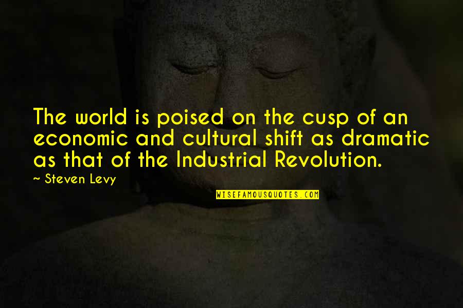 Industrial Revolution Quotes By Steven Levy: The world is poised on the cusp of