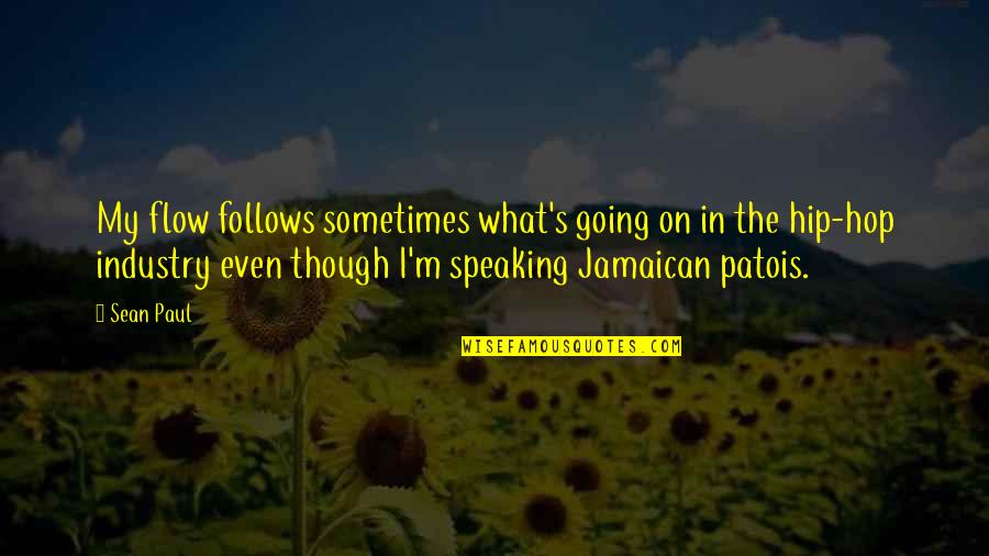 Industry's Quotes By Sean Paul: My flow follows sometimes what's going on in