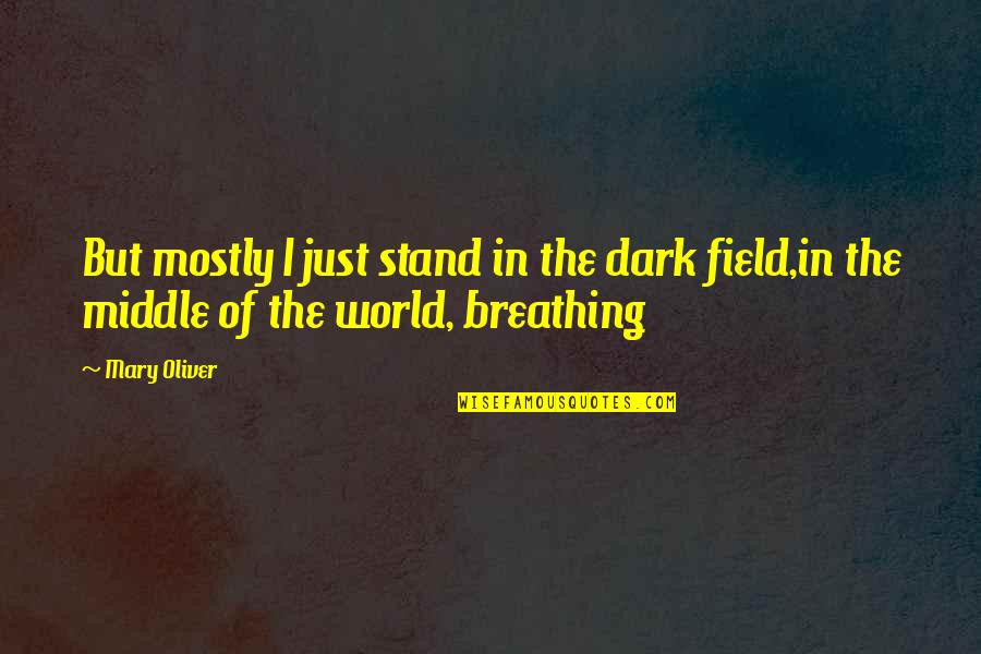 Inedito En Quotes By Mary Oliver: But mostly I just stand in the dark