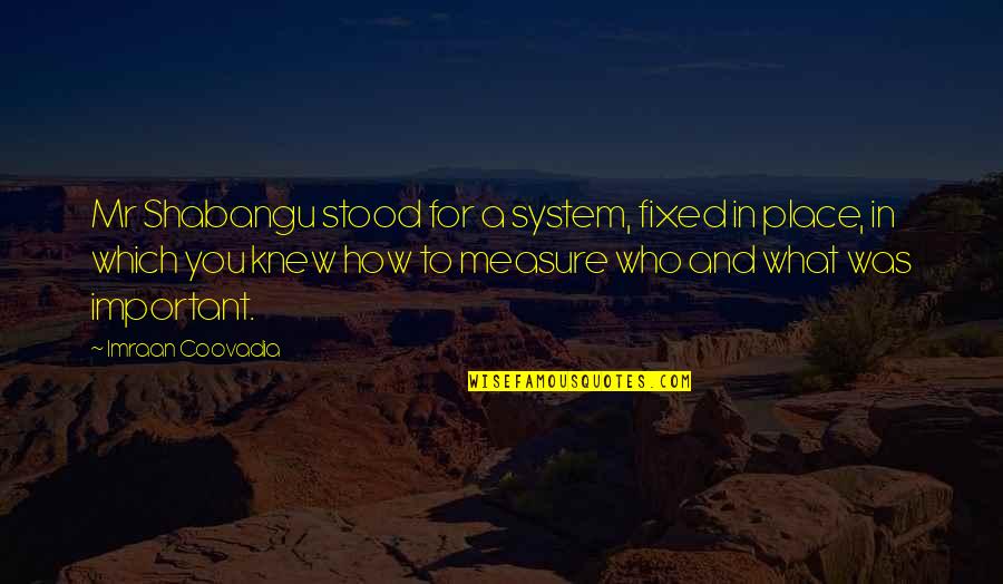 Inefable Significado Quotes By Imraan Coovadia: Mr Shabangu stood for a system, fixed in