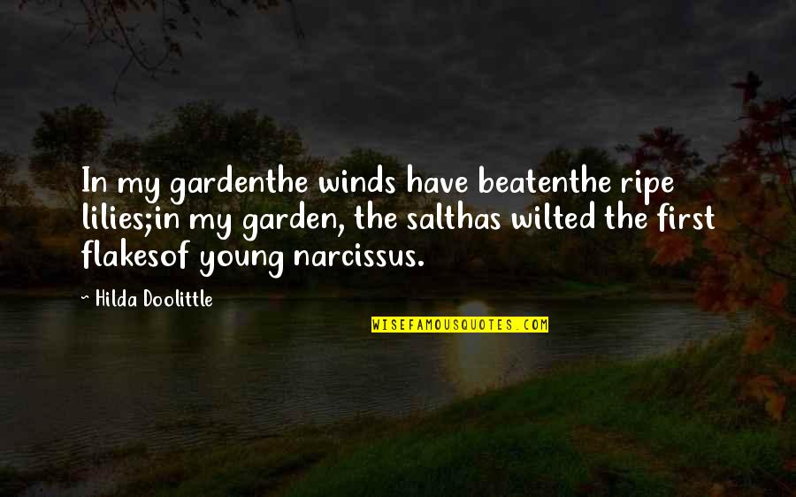 Ineffectually In A Sentence Quotes By Hilda Doolittle: In my gardenthe winds have beatenthe ripe lilies;in
