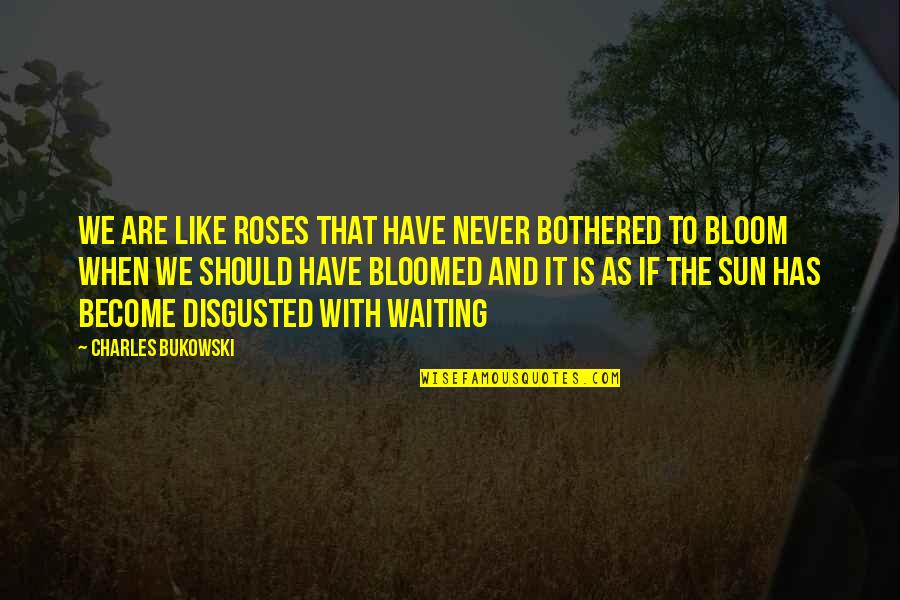 Ineficaz In English Quotes By Charles Bukowski: We are like roses that have never bothered Ineficaz In English Quotes By Charles Bukowski: We are like roses that have never bothered