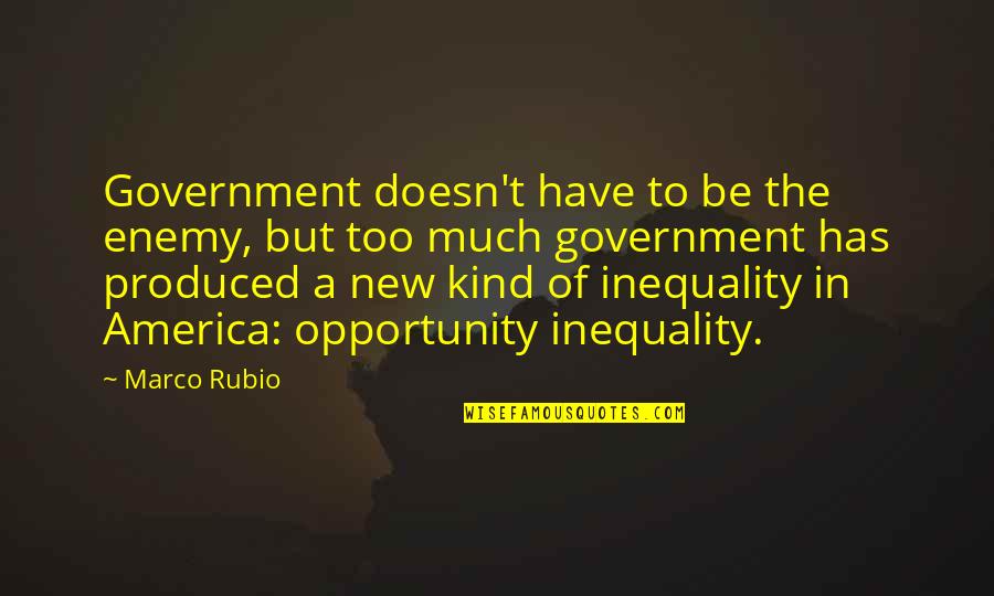Inequality In America Quotes By Marco Rubio: Government doesn't have to be the enemy, but Inequality In America Quotes By Marco Rubio: Government doesn't have to be the enemy, but