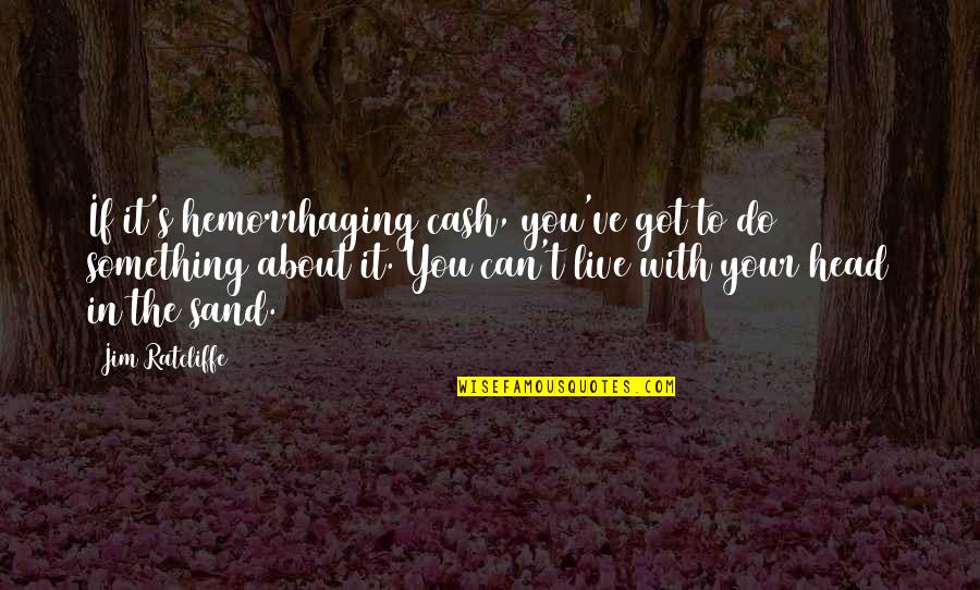 Inesquecivel Trailer Quotes By Jim Ratcliffe: If it's hemorrhaging cash, you've got to do