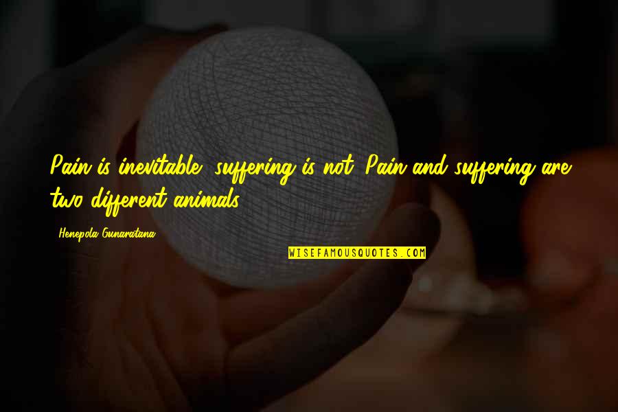 Inevitable Pain Quotes By Henepola Gunaratana: Pain is inevitable, suffering is not. Pain and Inevitable Pain Quotes By Henepola Gunaratana: Pain is inevitable, suffering is not. Pain and