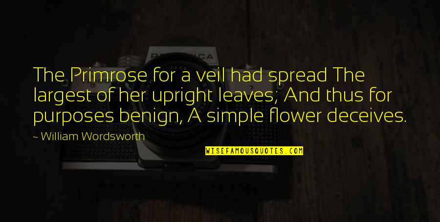 Inexpressive Quotes By William Wordsworth: The Primrose for a veil had spread The