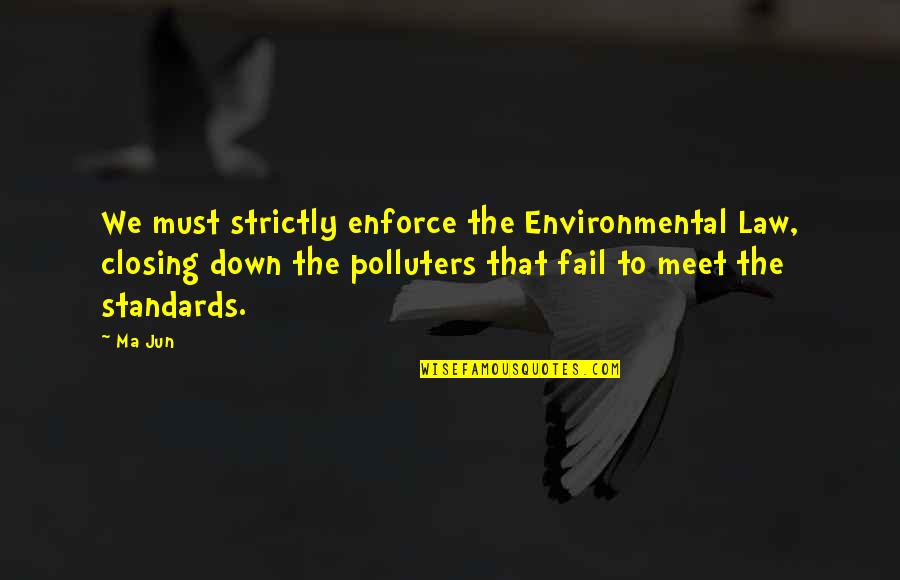 Infallibilism Define Quotes By Ma Jun: We must strictly enforce the Environmental Law, closing