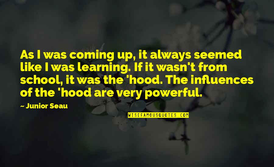 Infallibility Quotes By Junior Seau: As I was coming up, it always seemed