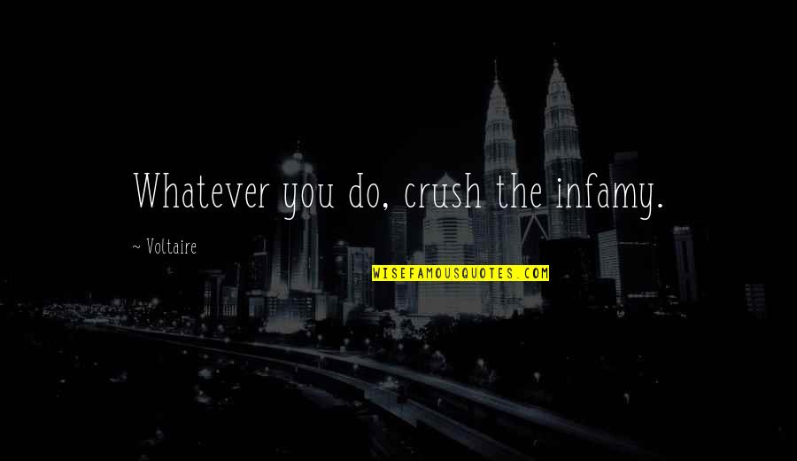 Infamy Quotes By Voltaire: Whatever you do, crush the infamy.