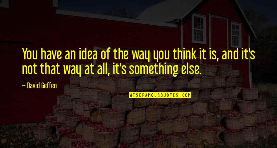 Infantozzi Quotes By David Geffen: You have an idea of the way you Infantozzi Quotes By David Geffen: You have an idea of the way you