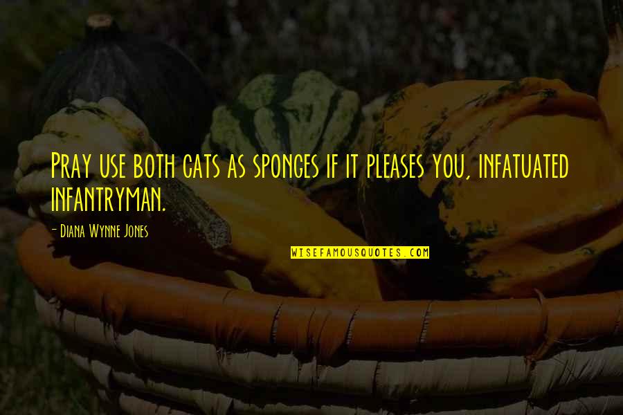 Infatuated Quotes By Diana Wynne Jones: Pray use both cats as sponges if it