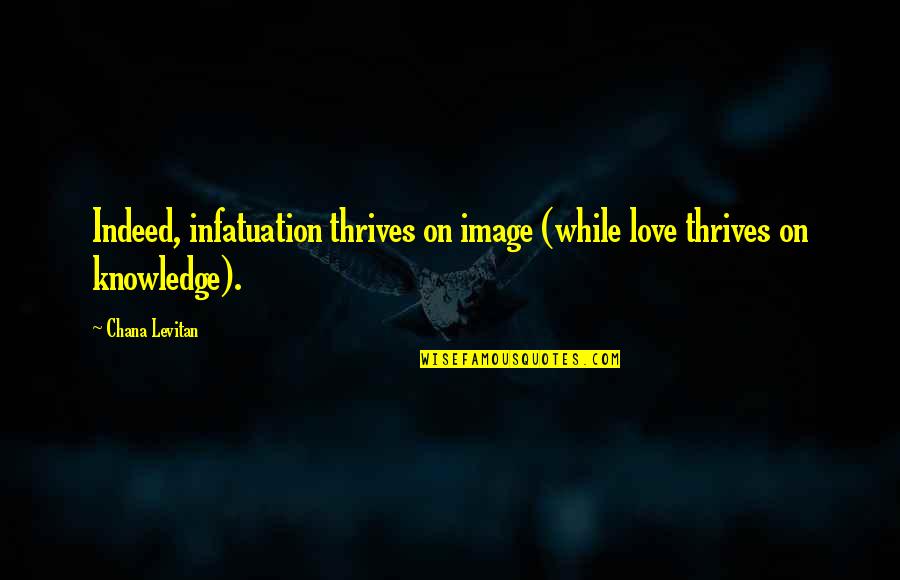 Infatuation Quotes By Chana Levitan: Indeed, infatuation thrives on image (while love thrives