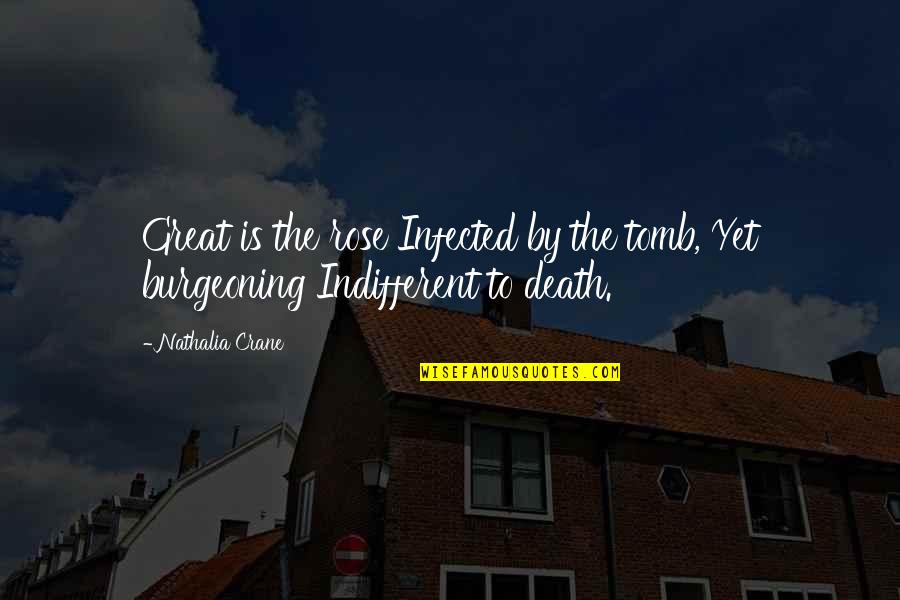 Infected Quotes By Nathalia Crane: Great is the rose Infected by the tomb,