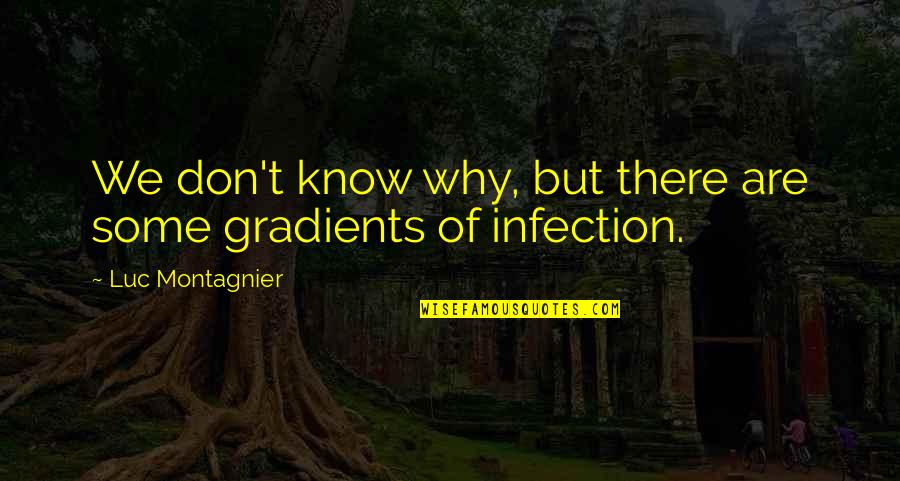Infection Quotes By Luc Montagnier: We don't know why, but there are some