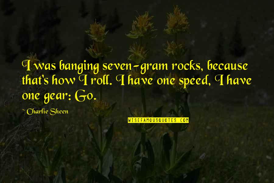 Infectivity Period Quotes By Charlie Sheen: I was banging seven-gram rocks, because that's how