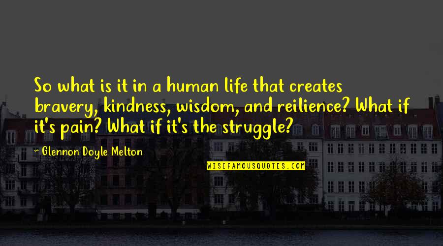 Infertility Hurts Quotes By Glennon Doyle Melton: So what is it in a human life