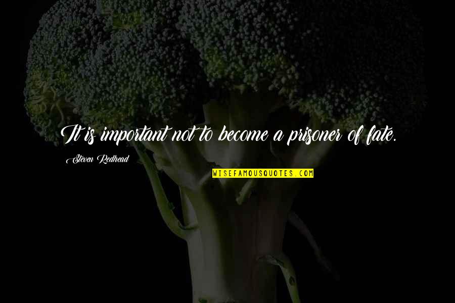 Infiltrating Quotes By Steven Redhead: It is important not to become a prisoner